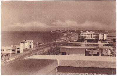 Eforia. (necirculata) foto