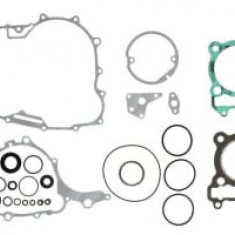 Set garnituri motor compatibil: YAMAHA XT, YFM 250 2008-2022