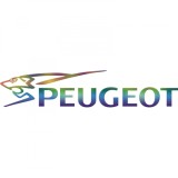 Cumpara ieftin Sticker Peugeot Fast
