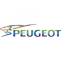 Sticker Peugeot Fast , Design Sportiv pentru Viteza si Adrenalina