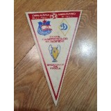 Fanion Fotbal Dinamo Sferturi de finala 1984