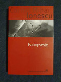 Palimpseste &ndash; Cornel Mihai Ionescu