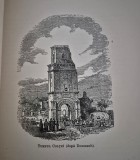 Carte veche Revista Samanatorul An 5 Numar 19 1906