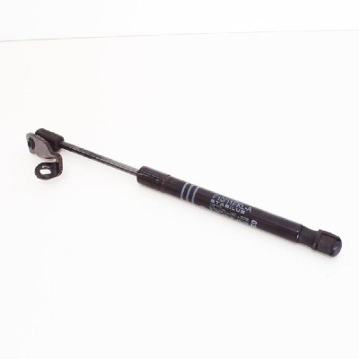 Amortizor capota dreapta față BMW 5 F10 2012 OEM: 7309117 10026146 foto