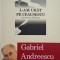 L-am urat pe Ceausescu. Ani, oameni, disidenta &ndash; Gabriel Andreescu