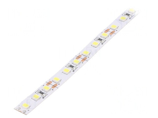 Bandă LED alb rece 12V 9,6W/m
