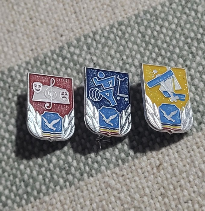 Lot 3 insigne pionieri