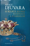 O SCURTA ISTORIE ILUSTRATA A ROMANILOR-NEAGU DJUVARA-357308