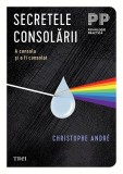Secretele consolării. A consola și a fi consolat - Cristophe Andre - Editura Trei
