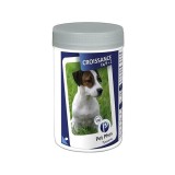 SUPLIMENT NUTRITIV PENTRU CAINI, PET PHOS CA P 2, 100CP