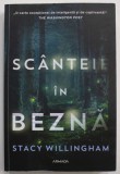 SCANTEIE IN BEZNA de STACY WILLINGHAM , 2023