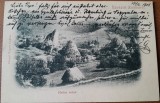 Carte postala, Alba Muntii Apuseni Valea Mica, 1906