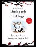 Marele panda si micul dragon - Editura Bookzone