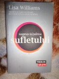 Supravietuirea sufletului - Lisa Williams / 282 pagini