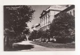 RF101 - Carte Postala - Cluj. Universitatea Victor Babes. necirculata