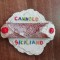 M3 C2 - Magnet frigider - tematica turism - Italia - 73