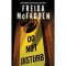 Do Not Disturb - Freida McFadden