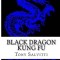 Black Dragon Kung Fu: Advanced Training
