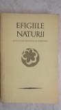 Petre Stoica, Mircea Tomus - Efigiile naturii, antologia pastelului romanesc