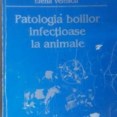 Patologia bolilor infectioase la animale- Elena Velescu