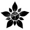icon 1