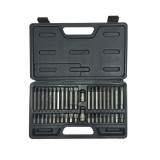 Set Varfuri Dintate/Torx Cr-Va S2 - 42P.