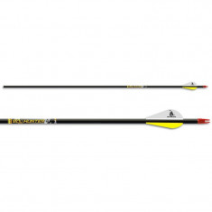 Set sageti carbon arc Beman Bowhunter 6/PK foto