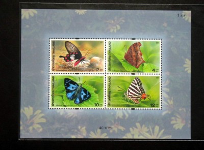 THAILANDA 2001 FAUNA FLUTURI foto