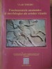 FUNDAMENTELE ANATOMICE SI MORFOLOGICE ALE ARTELOR VIZUALE-VLAD TIBERIU-260441