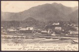 3057 - BREZOI, Valcea, Fabrica de Cherestea, Litho - old postcard - used - 1903, Circulata, Printata