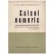 Virgil Brisca, Bucur Ionescu, Gheorghe Tudor - Calcul numeric -