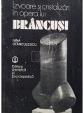 Nina Stanculescu - Izvoare si cristalizari in opera lui Brancusi (Editia: 1984)