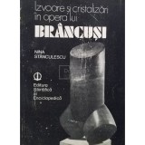 Nina Stanculescu - Izvoare si cristalizari in opera lui Brancusi (Editia: 1984)