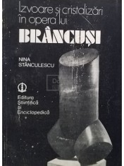 Nina Stanculescu - Izvoare si cristalizari in opera lui Brancusi (Editia: 1984) foto