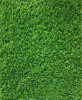 Covor Gazon Iarba Artificiala Sri Lanka 30 mm Latime 3 m - 300x1500, Verde