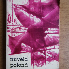 Nuvela polona contemporana (1965)
