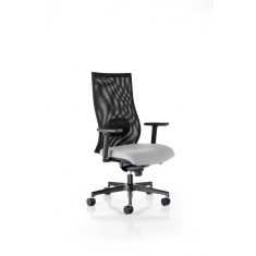 SCAUN DE BIROU ERGONOMIC IRON