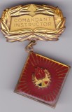 INSIGNA PIONIER Comandant Instructor