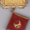 INSIGNA PIONIER Comandant Instructor