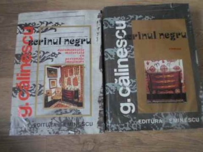 SCRINUL NEGRU VOL.1-2 ROMANUL. DOCUMENTATIE MATERIALA CU PERSONAJE IMAGINARE-GEORGE CALINESCU-116548 foto