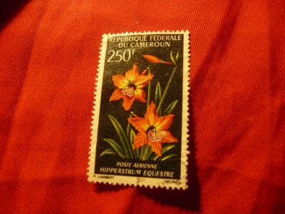 Timbru Camerun 1967 - Flora , val. 250F , stampilat foto