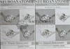 Neuroanatomie Vol. 2-3 substanta cenusie, substanta alba - 1997 - Traian Trandafir (AC27)