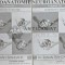 Neuroanatomie Vol. 2-3 substanta cenusie, substanta alba - 1997 - Traian Trandafir (AC27)