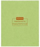 Geam autointunecat Anti-Blue Lens pentru masca sudura