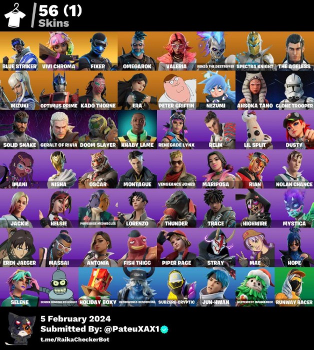 Vand cont fornite discord bogdy21