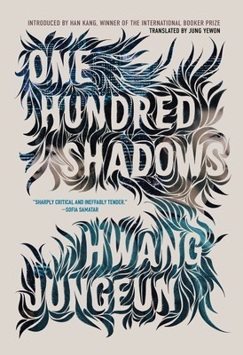 One Hundred Shadows foto