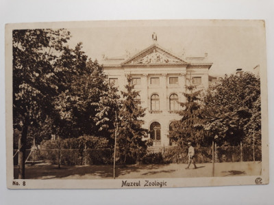 BUCURESTI - MUZEUL ZOOLOGIC - INCEPUT DE 1900 foto