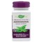 Andrographis SE, 60cps, Nature&#039;s Way