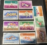 (1) Timbre Serii Romania Sport Jocurile olimpice los Angeles 1984