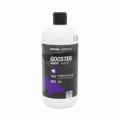 Aditiv lichid usturoi pescuit staționar GOOSTER 500ML